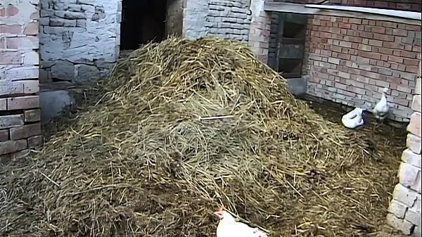 Heaven Is On Fire Part #2 – Fully remastered in HD